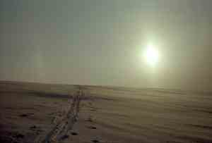 I'll follow the sun